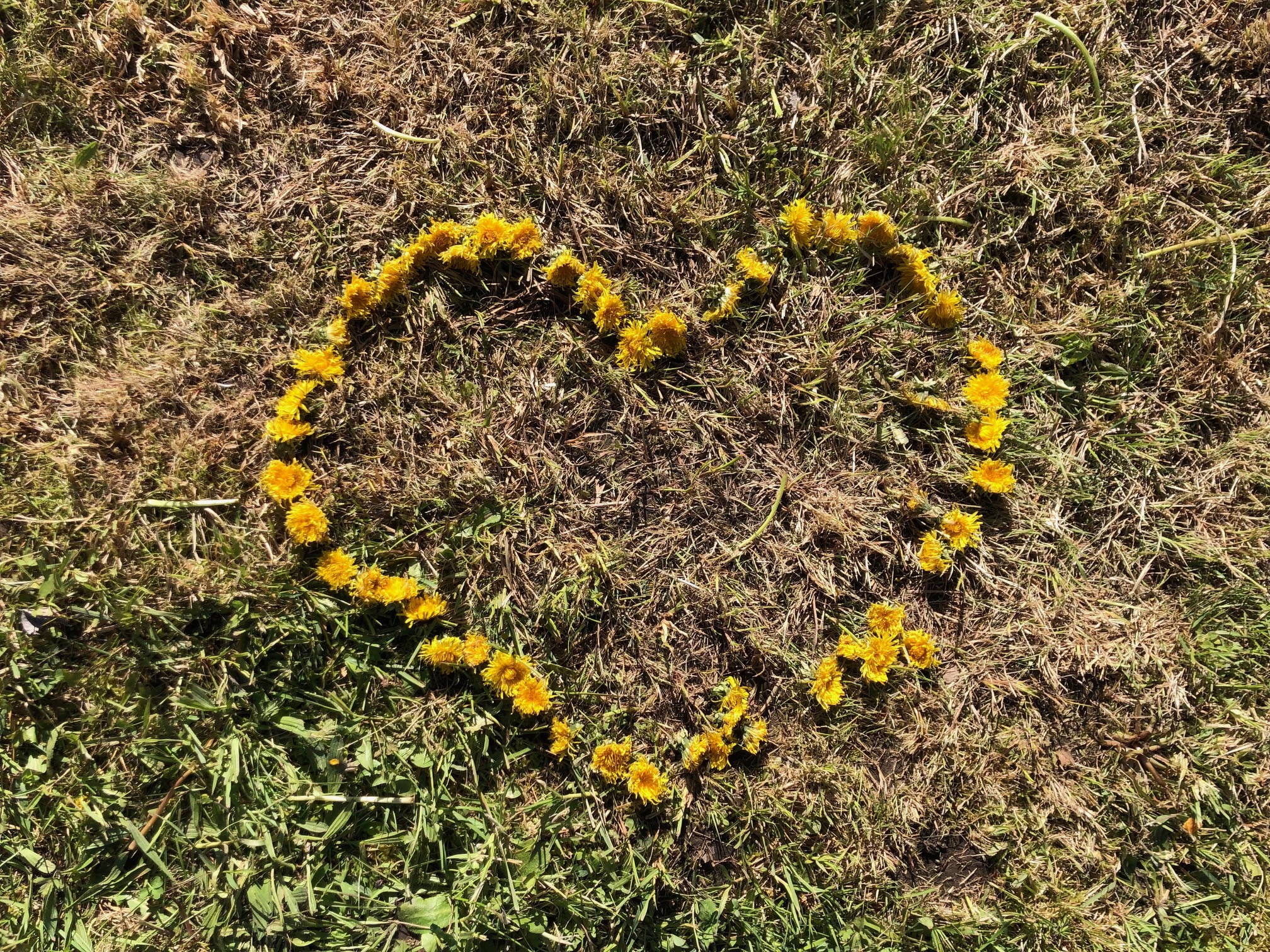 Ostermontag, 06.04.26 | 14.00 | Emmauswanderung mit Osternestersuche