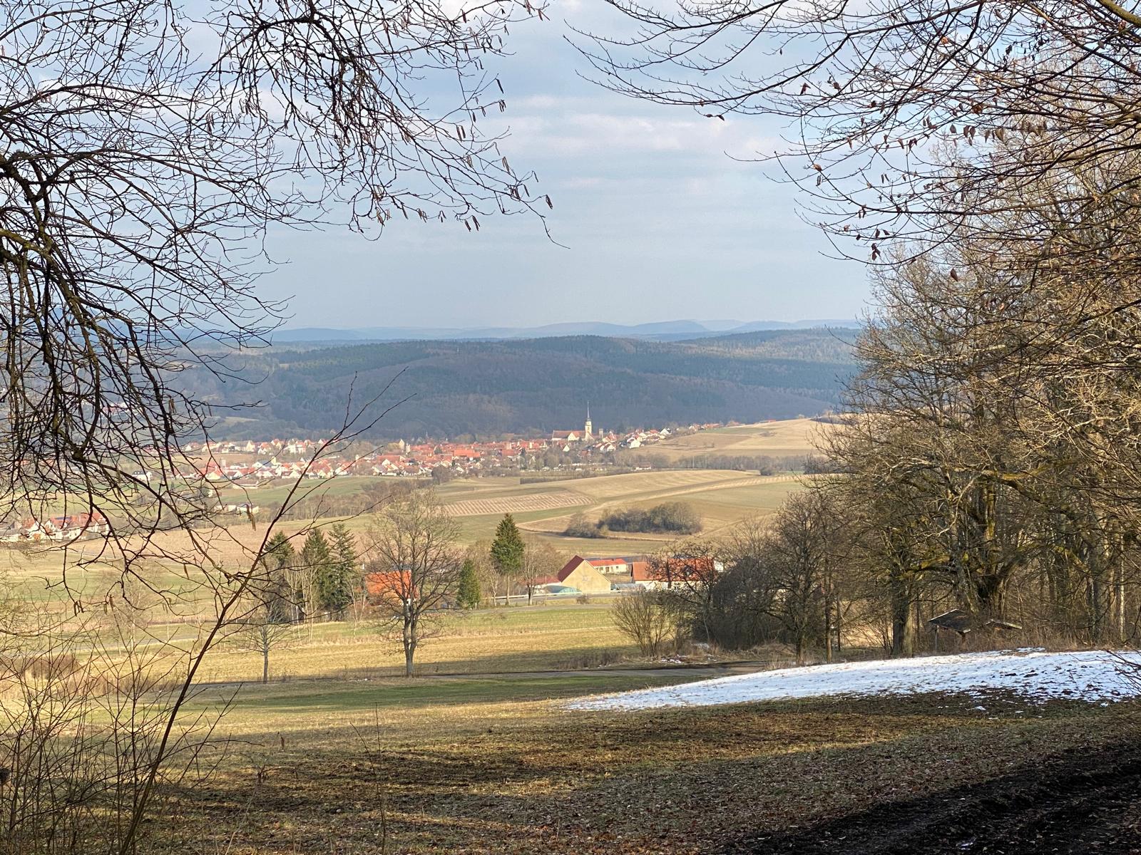 Sonntag, 11. Mai 2025 um 6 Uhr: Vogelstimmenwanderung in Rüdenschwinden