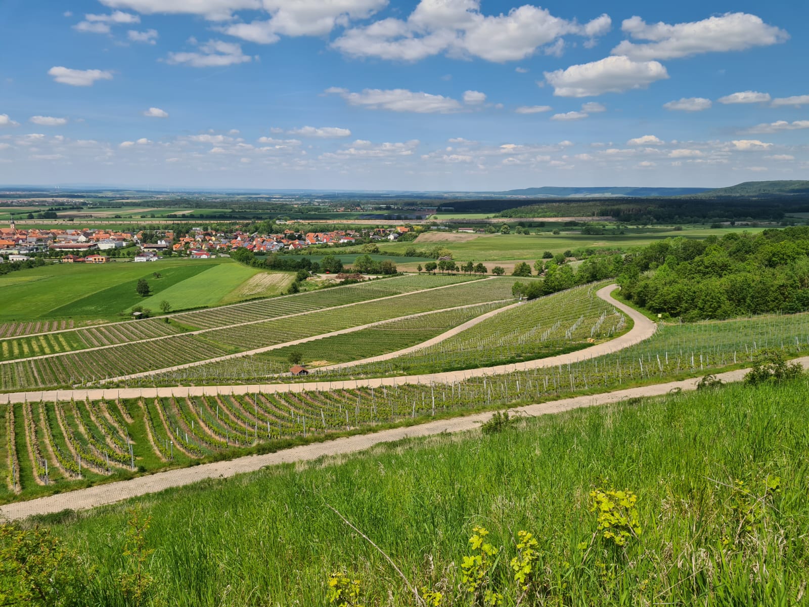 Samstag, 30.08.25 | 10.00 | Auf der TraumRunde Abtswind im Fränkischen Weinland – Busausflug
