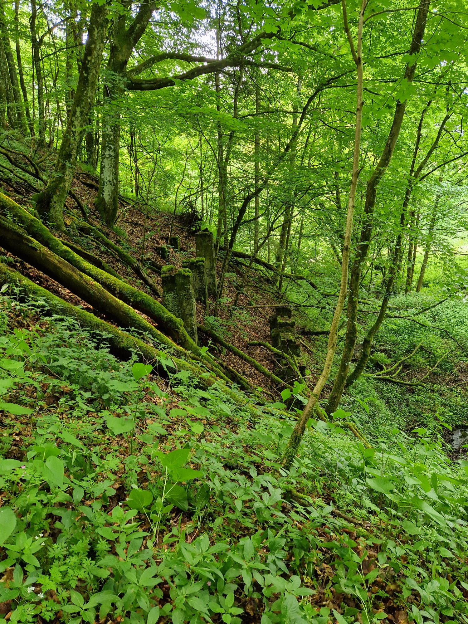 Sonntag, 20. Juli um 10 Uhr: Lost Place der Rhöner Bergbaugeschichte